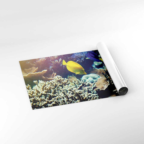 Autocolant Acvariu Blue and Yellow Fish - clevny.ro