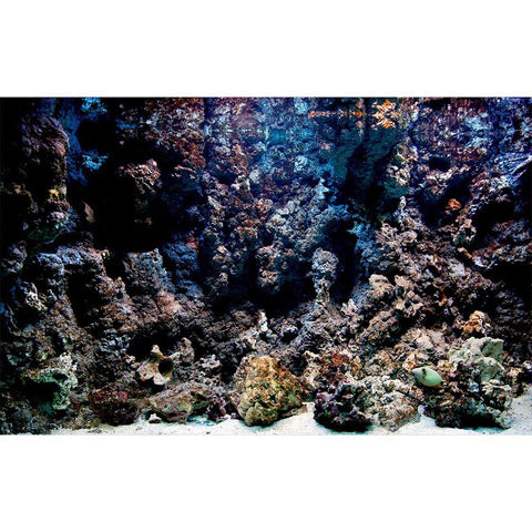 Autocolant Acvariu Coral Reef - clevny.ro