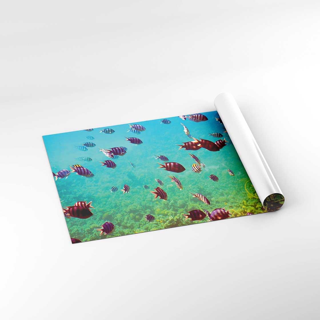 Autocolant Acvariu Fishes at Coral Reef Area - clevny.ro