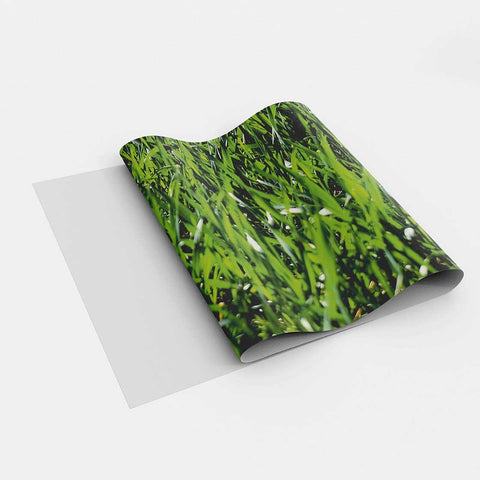 Autocolant bucătărie Grass - clevny.ro