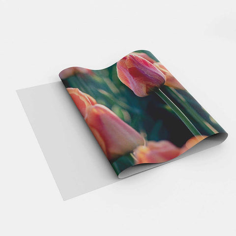 Autocolant bucătărie Pink Tulips - clevny.ro
