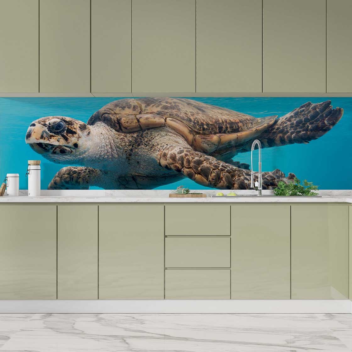 Autocolant bucătărie Turtle - clevny.ro