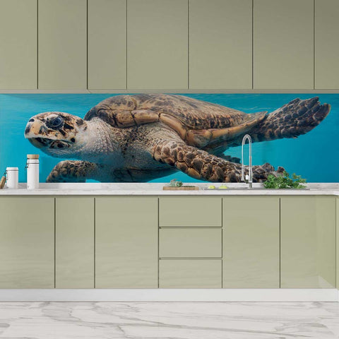 Autocolant bucătărie Turtle - clevny.ro