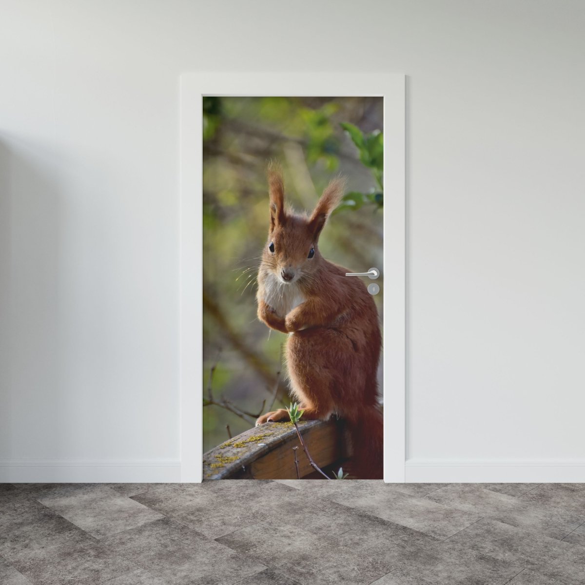 Autocolant ușă Squirrel - clevny.ro