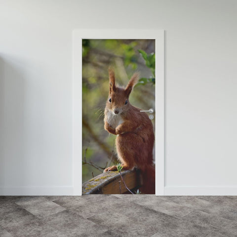 Autocolant ușă Squirrel - clevny.ro