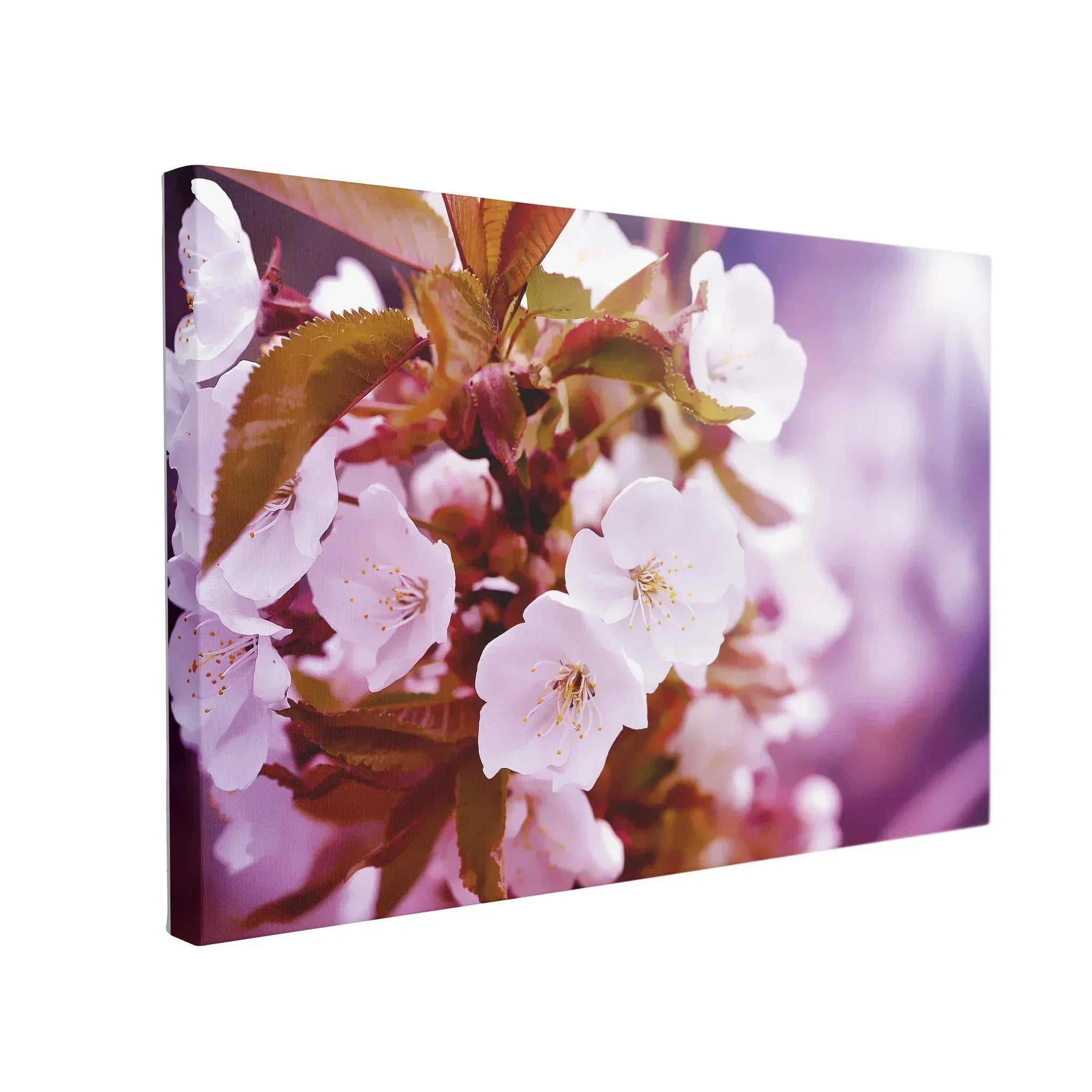 Ofertă Tablou Canvas Cherry Blossoms - clevny.ro