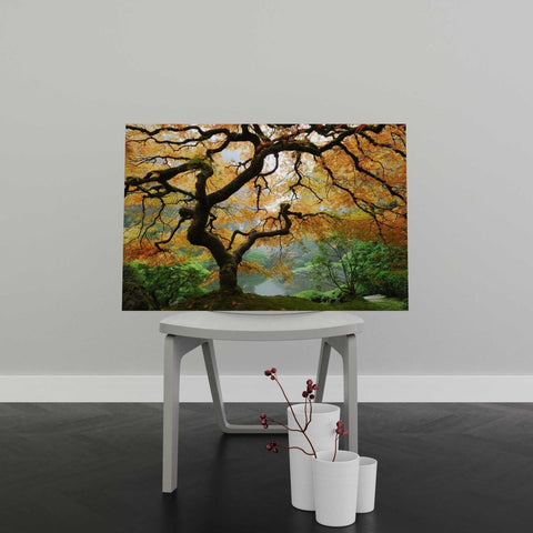 Tablou Canvas Autumn Maple - clevny.ro