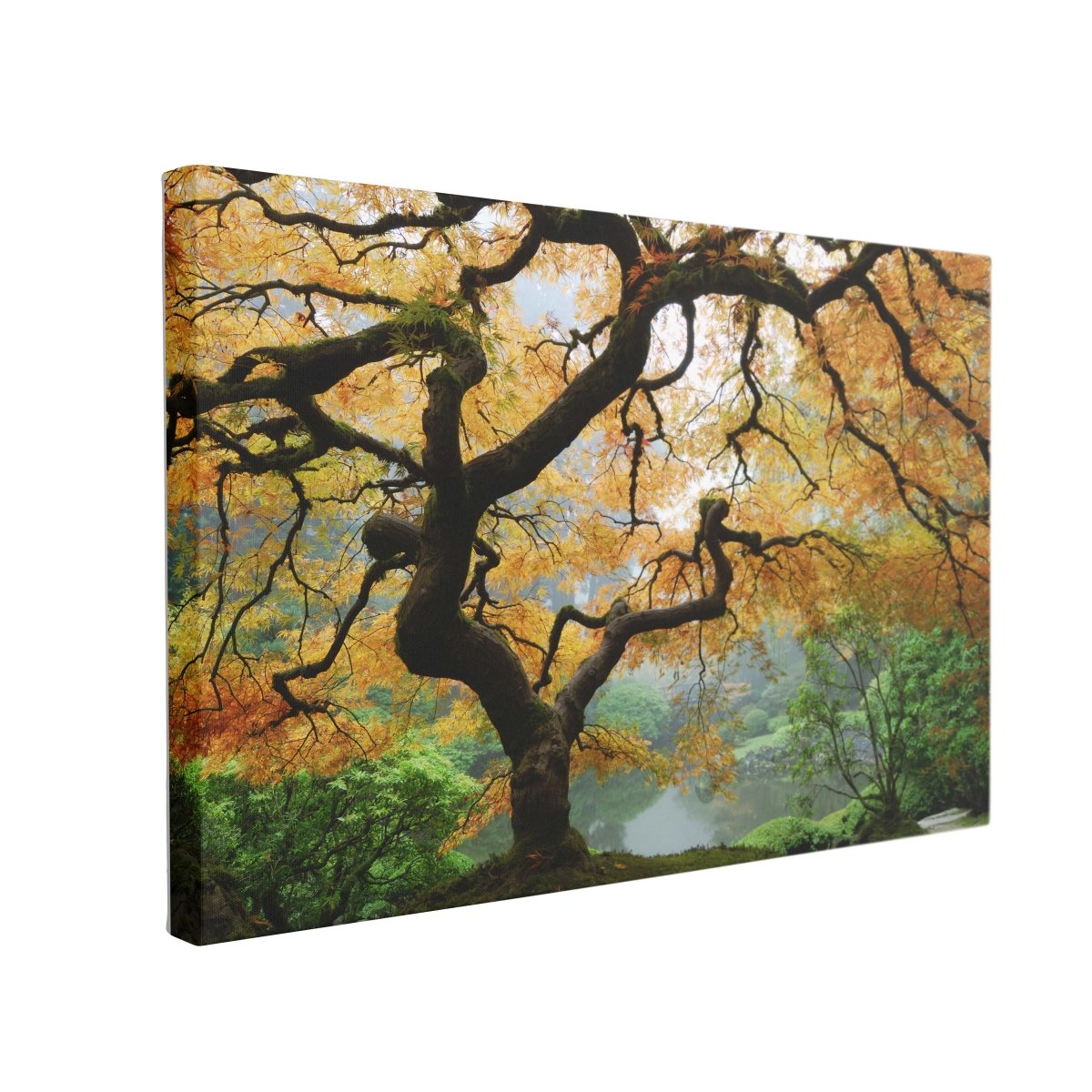 Tablou Canvas Autumn Maple - clevny.ro