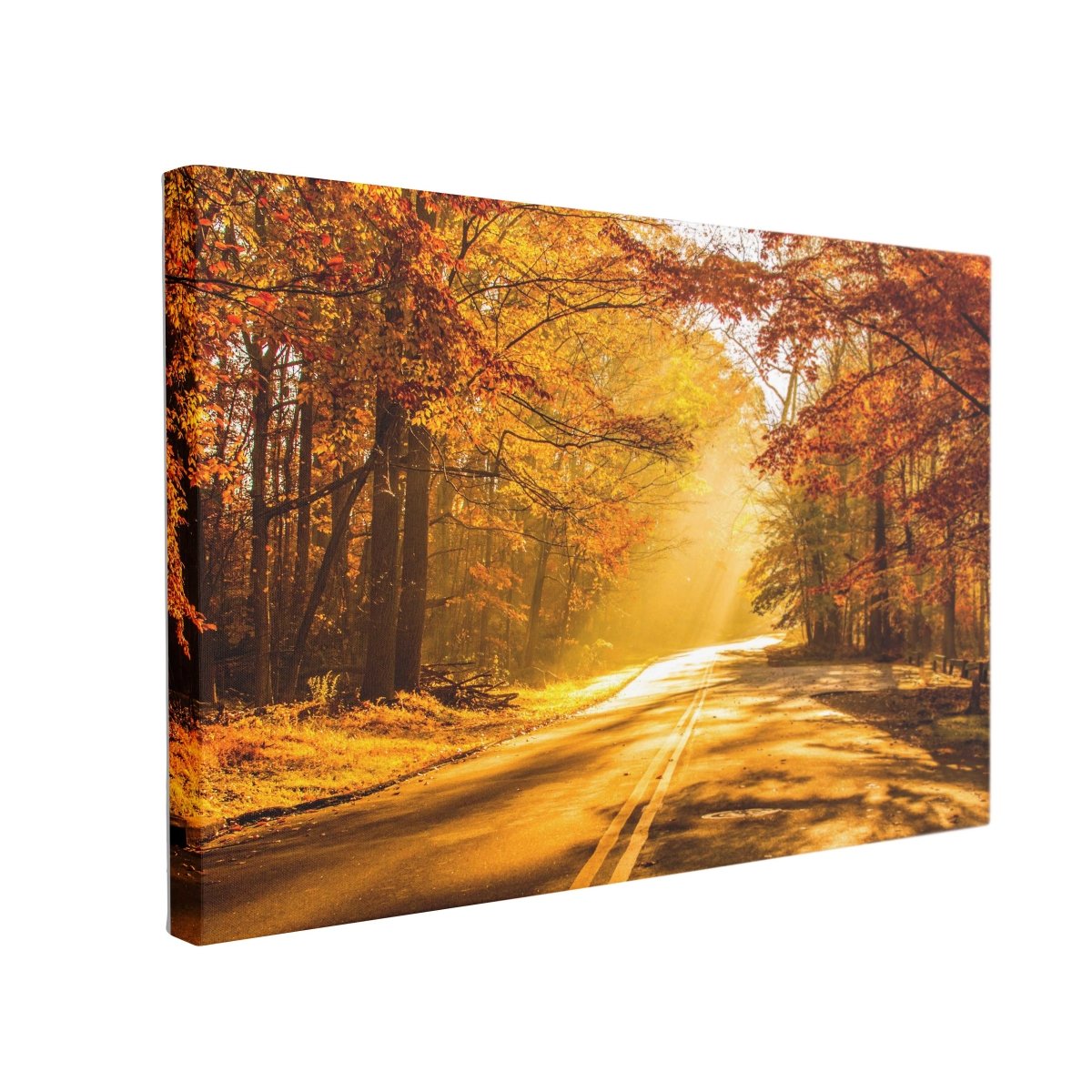 Tablou Canvas Autumn Road to Forest - clevny.ro