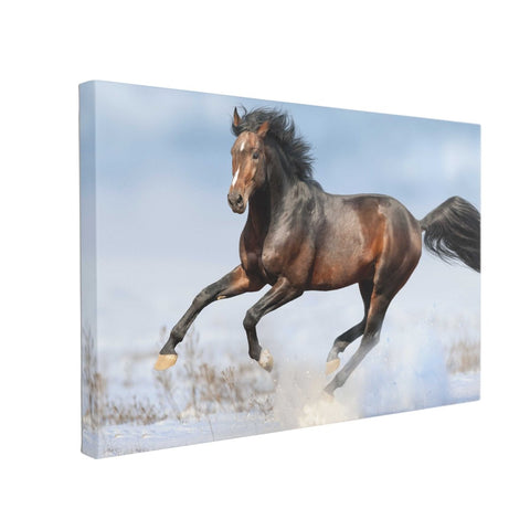 Tablou Canvas Bay Horse in Snow - clevny.ro