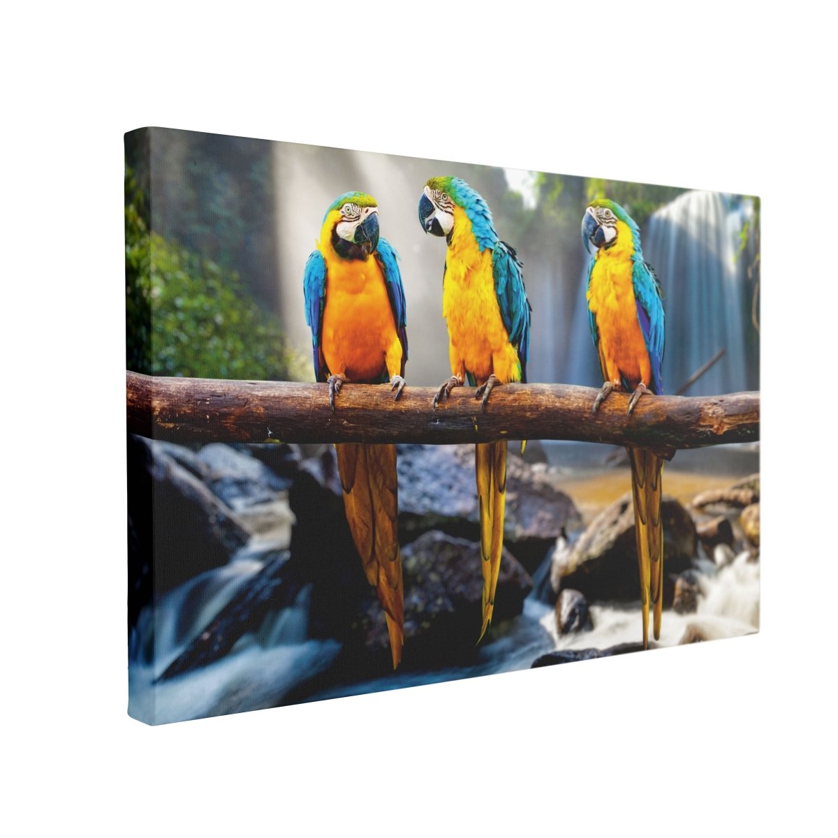 Tablou Canvas Colorful Parrot Waterfall - clevny.ro