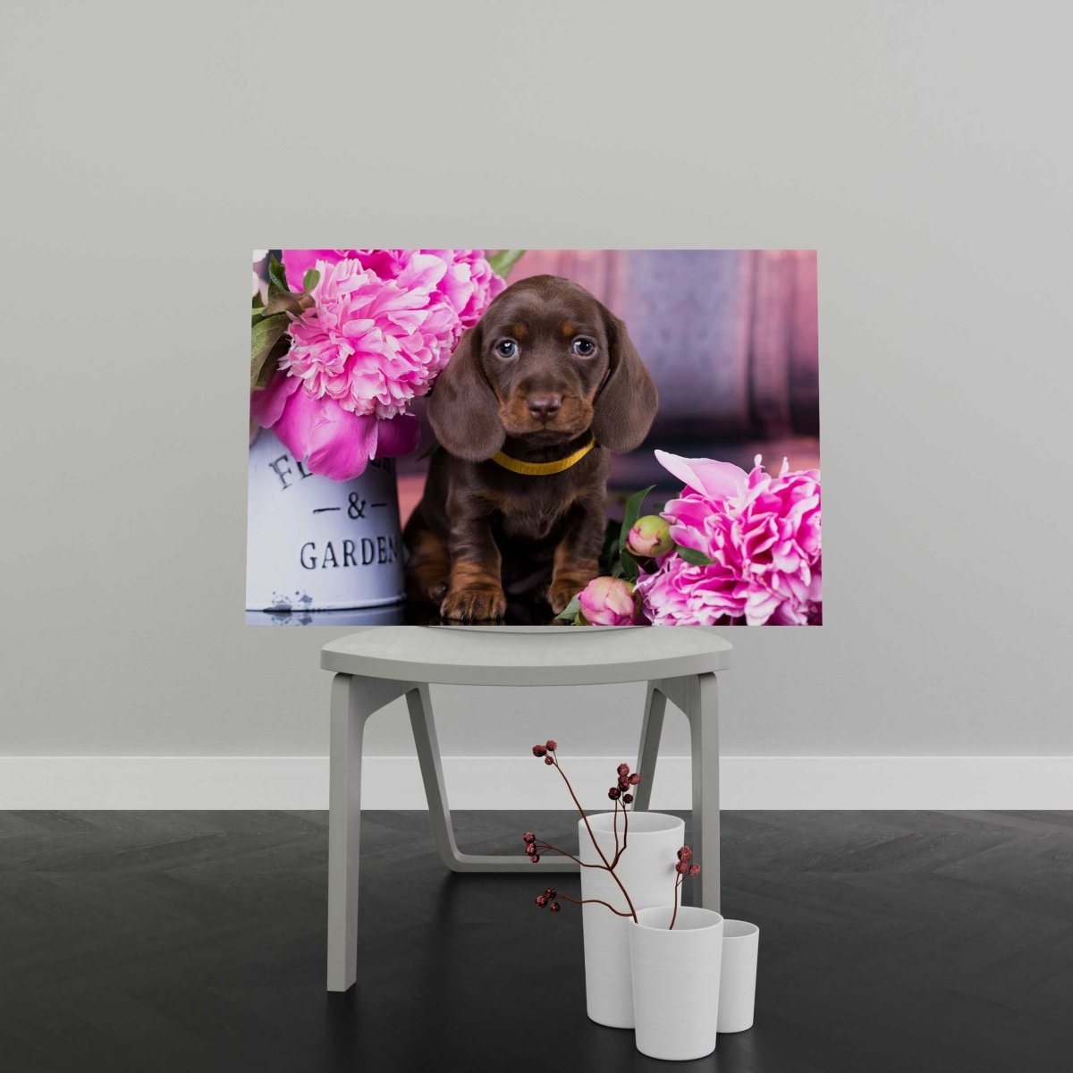 Tablou Canvas Dachshund Puppy - clevny.ro