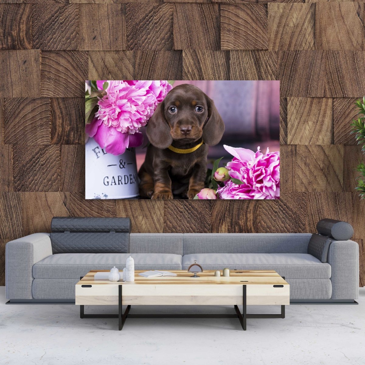 Tablou Canvas Dachshund Puppy - clevny.ro