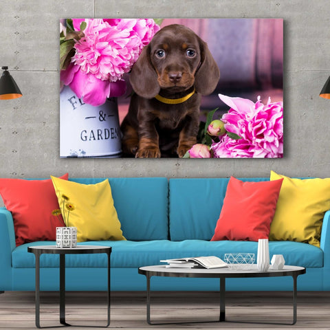 Tablou Canvas Dachshund Puppy - clevny.ro