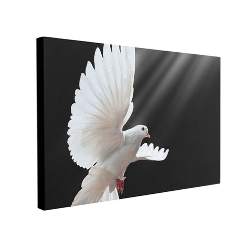 Tablou Canvas Dove in Flight - clevny.ro