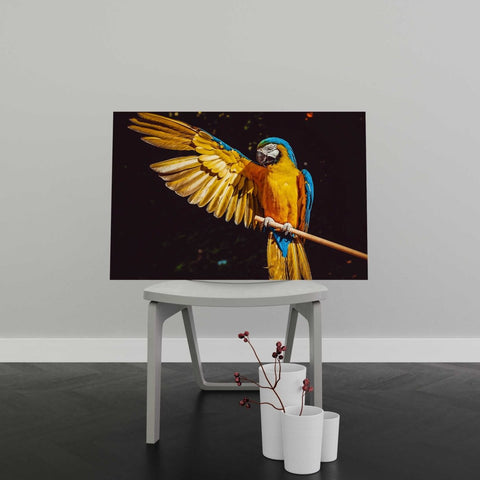 Tablou Canvas Exotic Parrot - clevny.ro