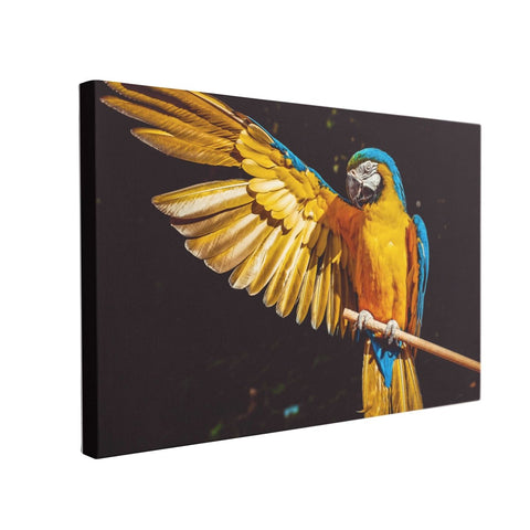 Tablou Canvas Exotic Parrot - clevny.ro