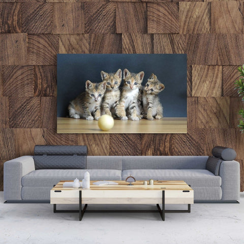 Tablou Canvas Four Cute Cats - clevny.ro