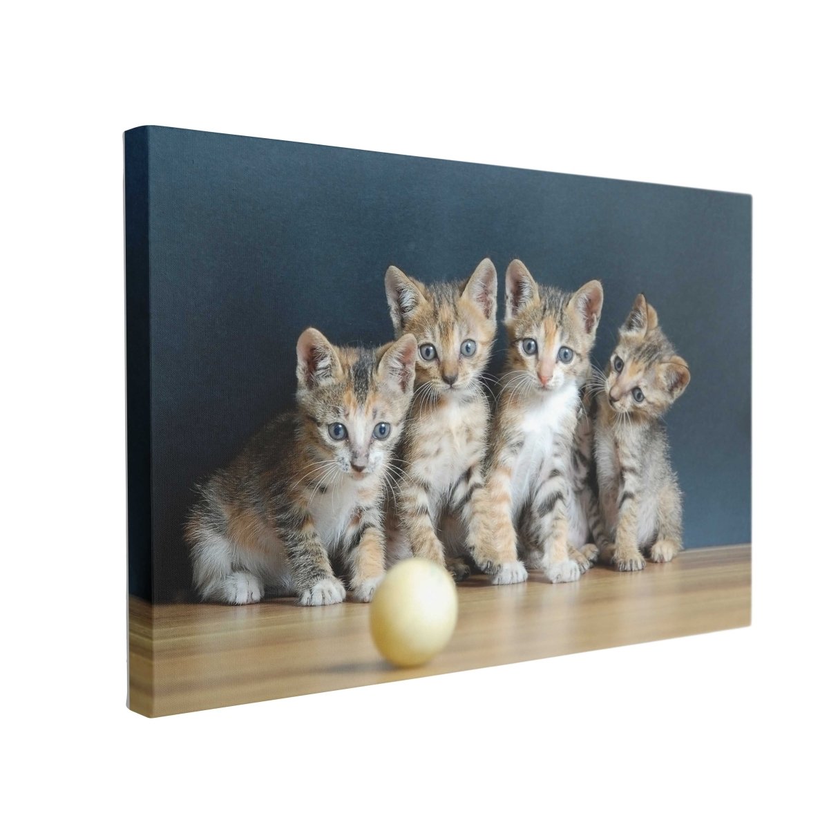 Tablou Canvas Four Cute Cats - clevny.ro