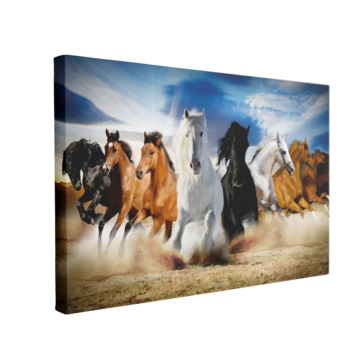 Tablou Canvas Full Speed Gallop - clevny.ro