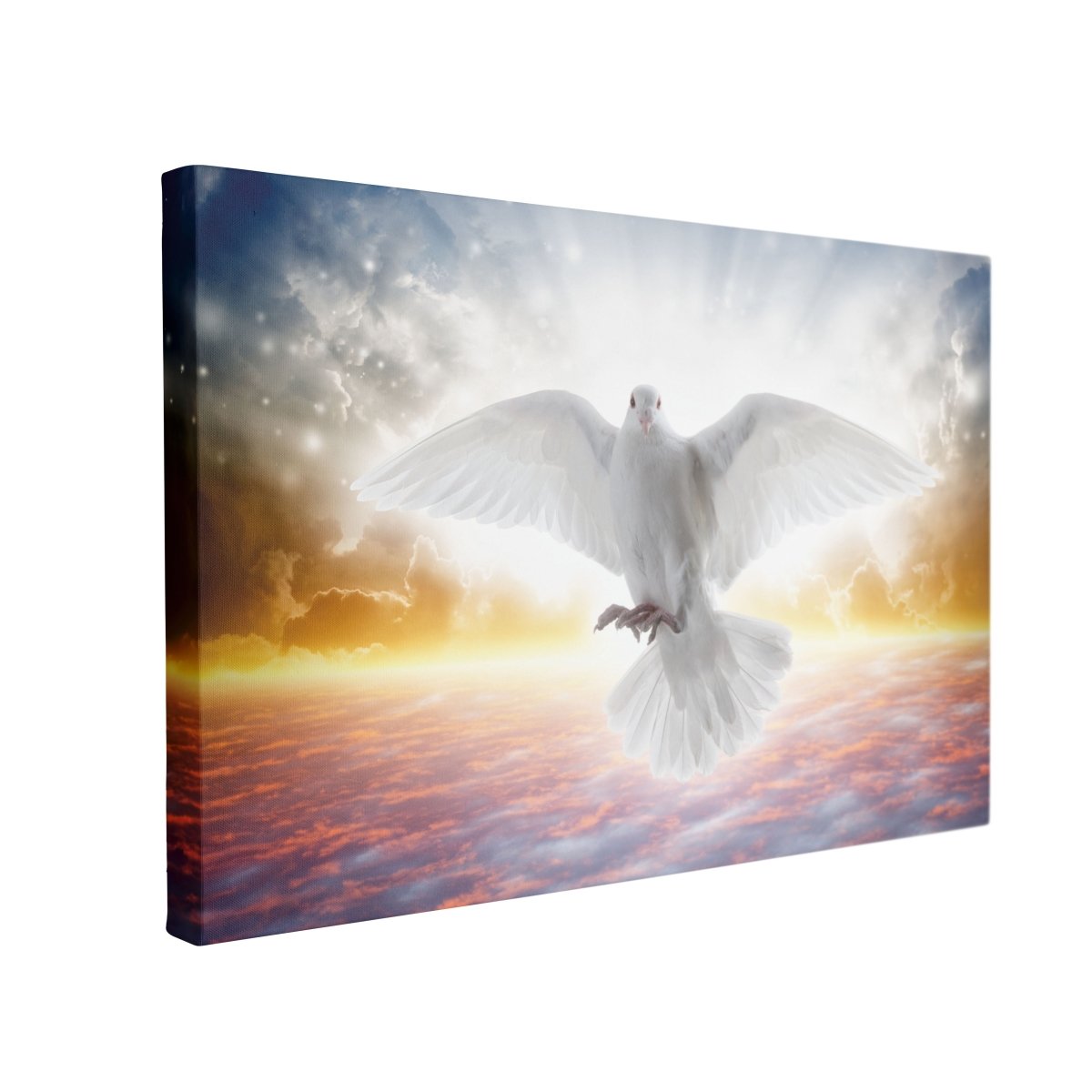 Tablou Canvas Holy Spirit Bird - clevny.ro