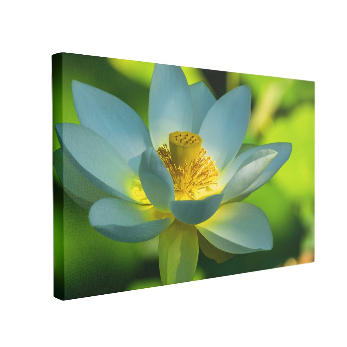 Tablou Canvas Lotus Flower - clevny.ro