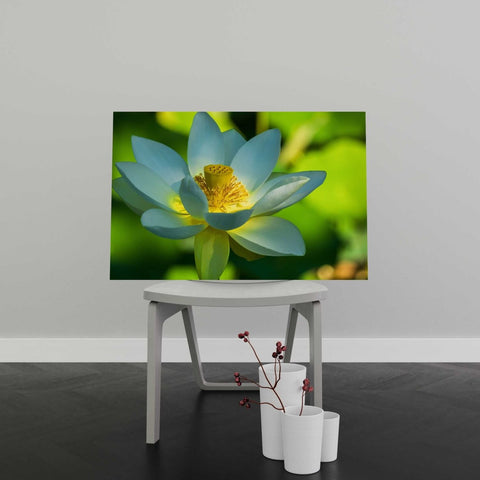 Tablou Canvas Lotus Flower - clevny.ro