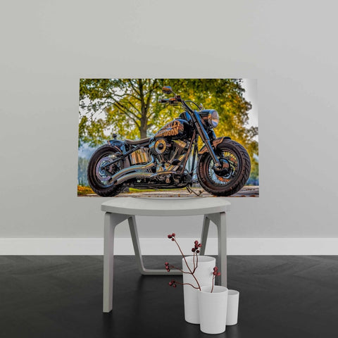 Tablou Canvas Motorcycle Harley Davidson - clevny.ro