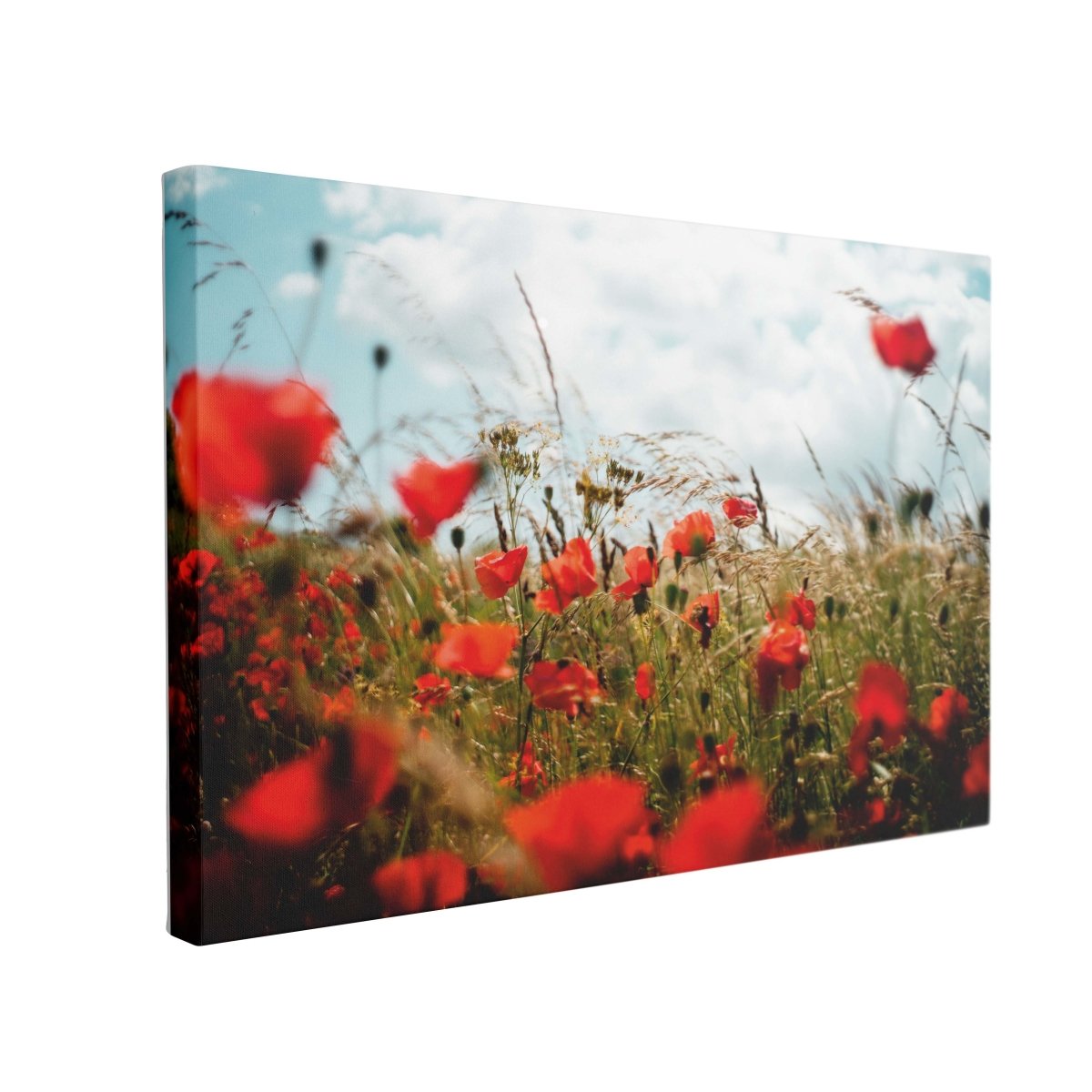 Tablou Canvas Poppies in the Wheat Field - clevny.ro