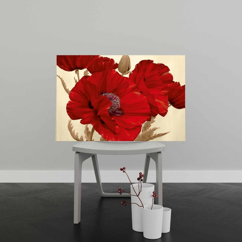 Tablou Canvas Poppy Dance - clevny.ro