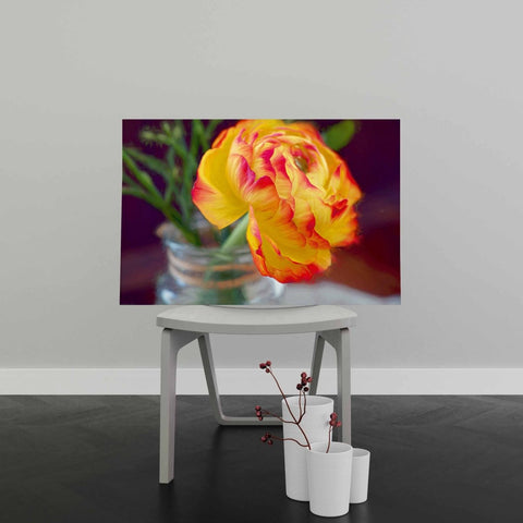Tablou Canvas Ranunculus Flower - clevny.ro