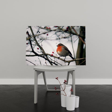 Tablou Canvas Robin Bird - clevny.ro