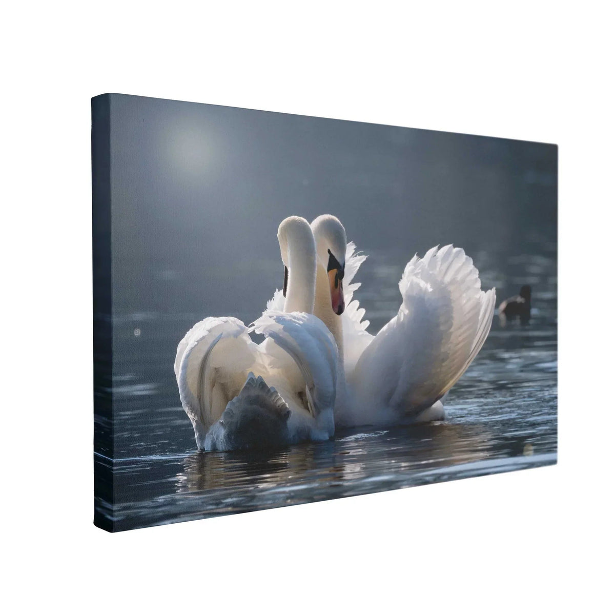 Tablou Canvas Swans in Love - clevny.ro