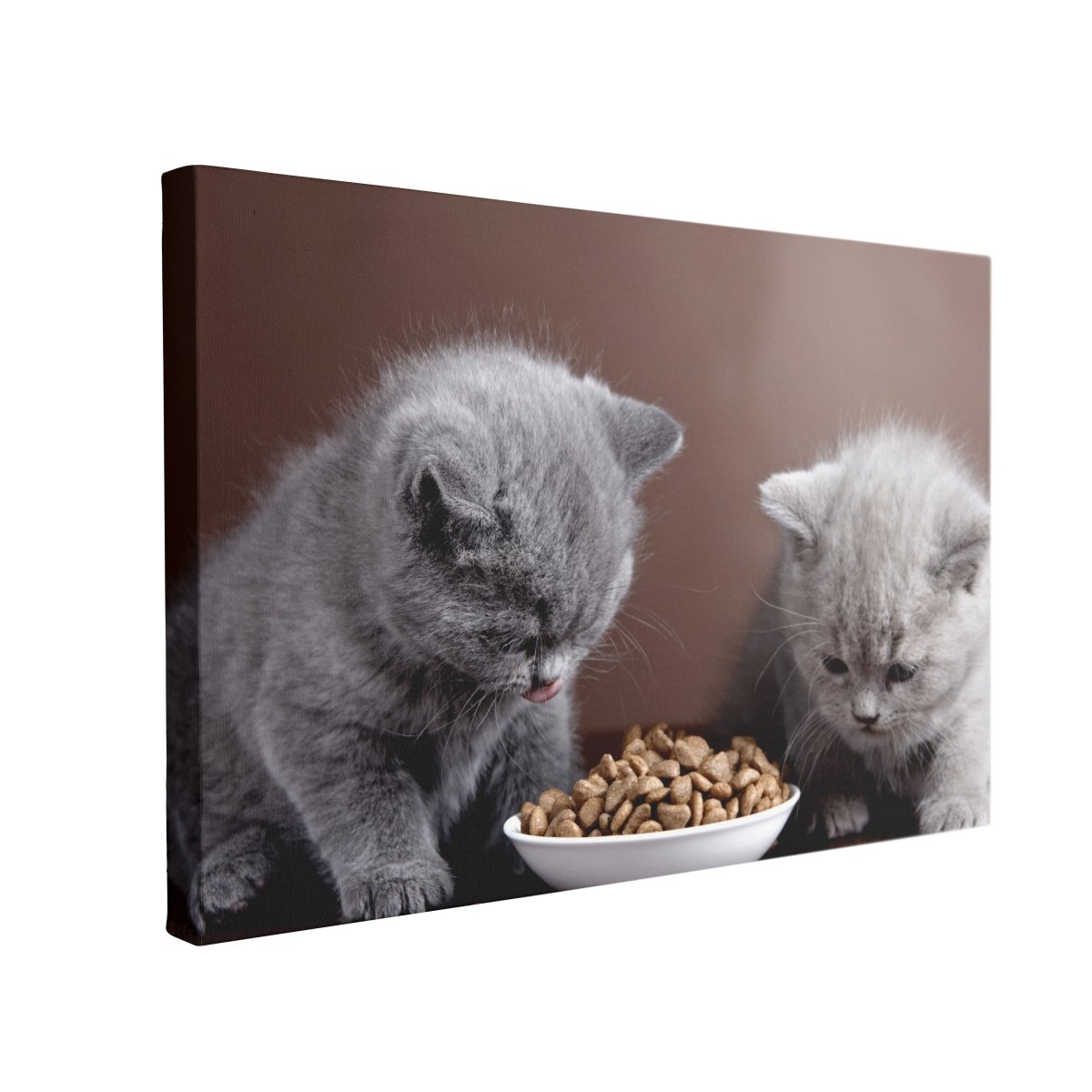 Tablou Canvas Two Cats Eating - clevny.ro