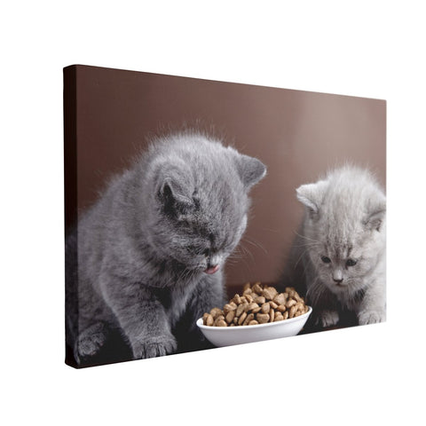 Tablou Canvas Two Cats Eating - clevny.ro