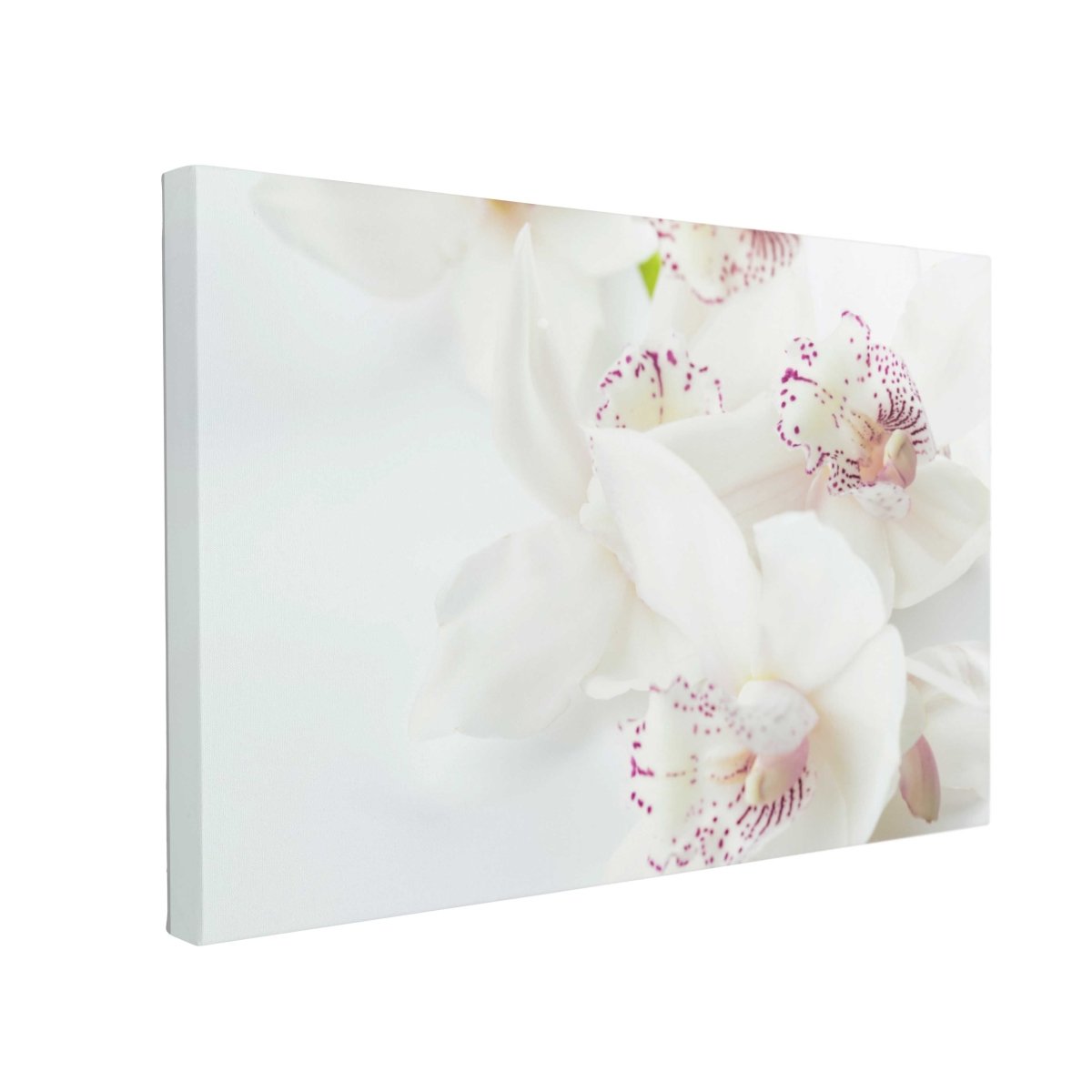 Tablou Canvas White Orchids with Purple - clevny.ro