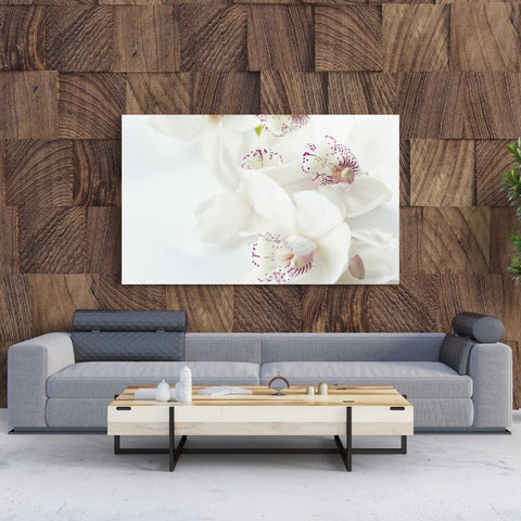 Tablou Canvas White Orchids with Purple - clevny.ro