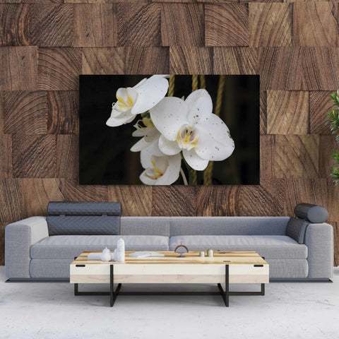 Tablou Canvas White Phalaenopsis Flower - clevny.ro