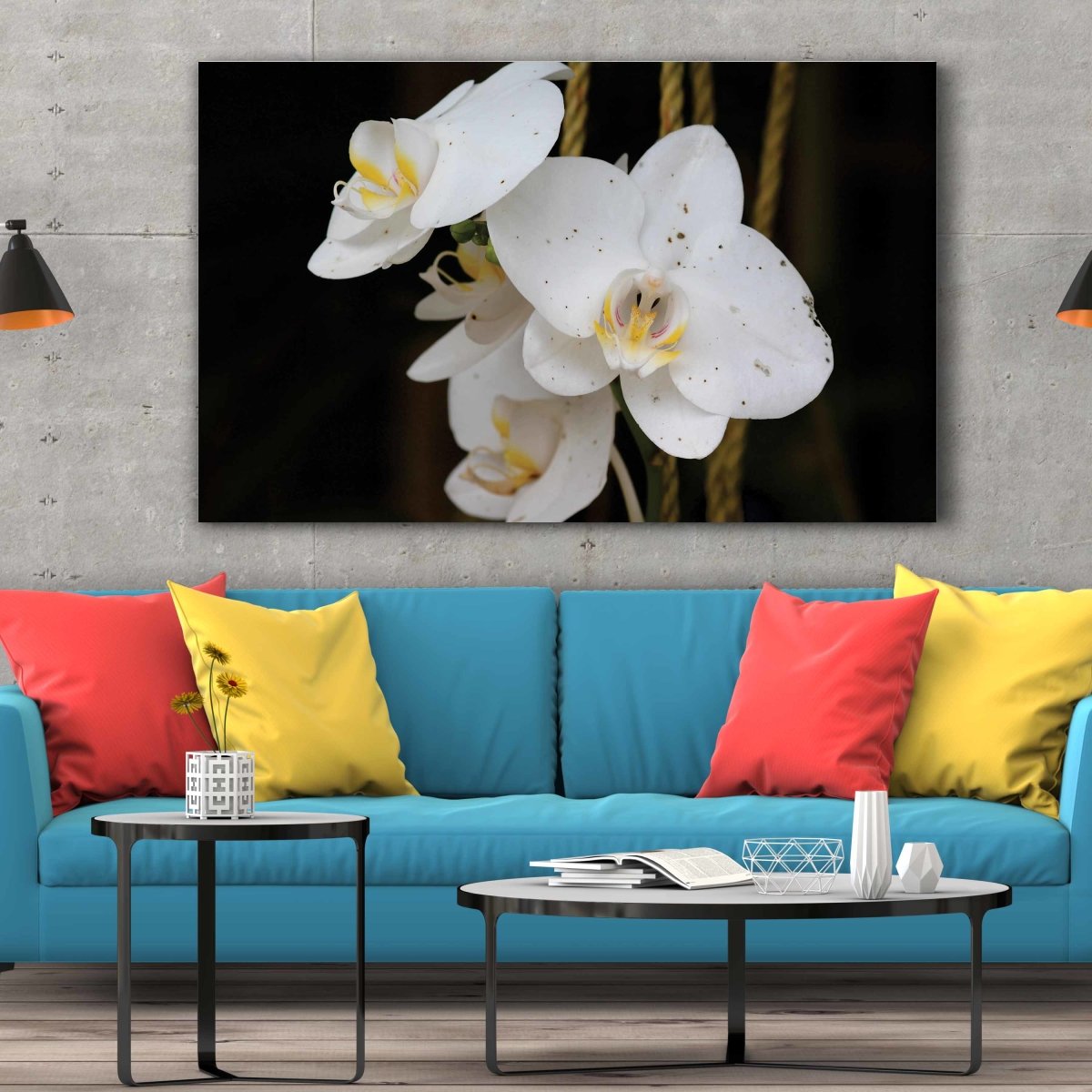 Tablou Canvas White Phalaenopsis Flower - clevny.ro