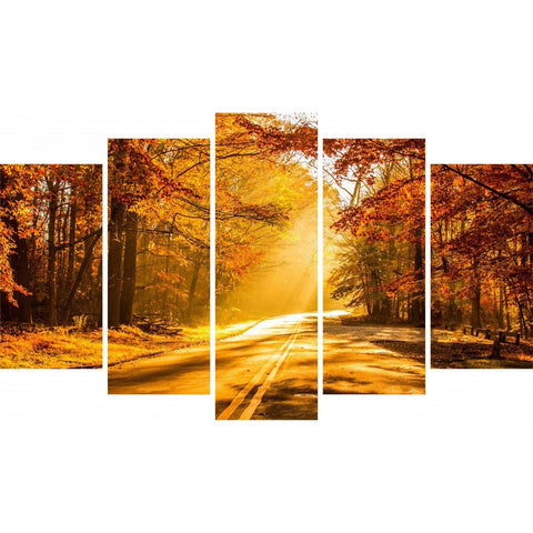 Tablou Forex 5 piese Autumn Road to Forest - clevny.ro