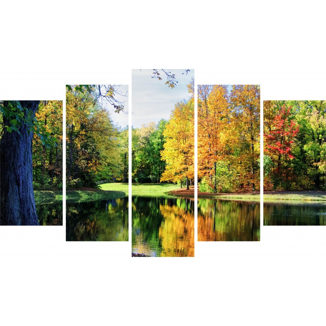 Tablou Forex 5 piese Colorful Trees Reflections - clevny.ro