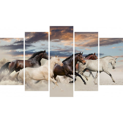Tablou Forex 5 piese Five Horse Run - clevny.ro