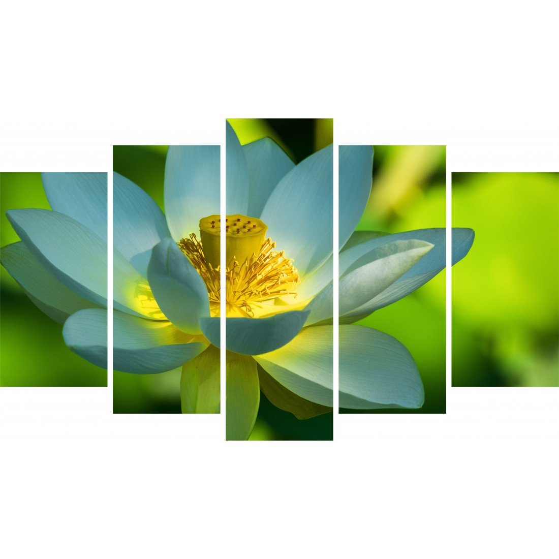 Tablou Forex 5 piese Lotus Flower - clevny.ro
