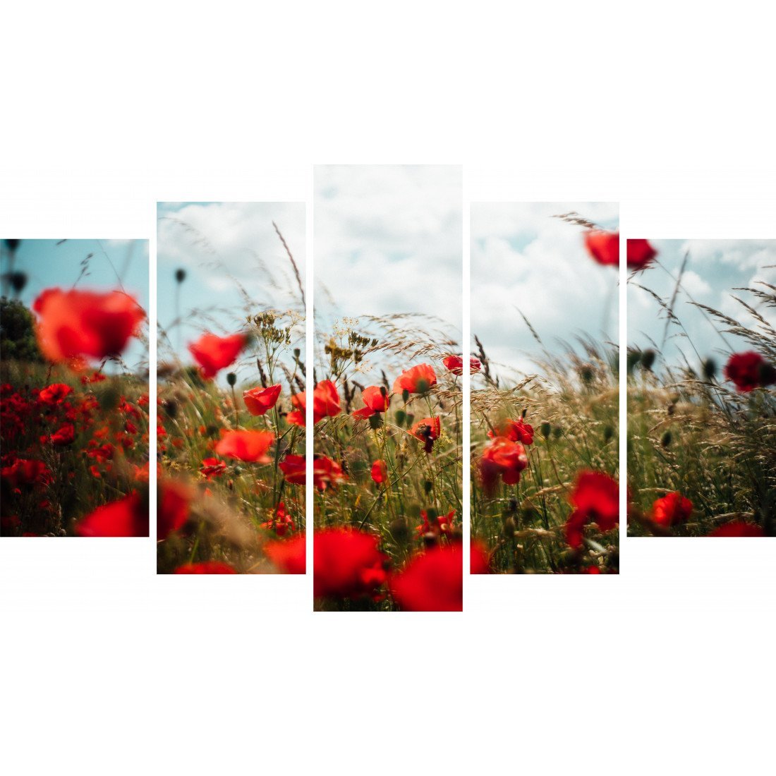 Tablou Forex 5 piese Poppies in the Wheat Field - clevny.ro