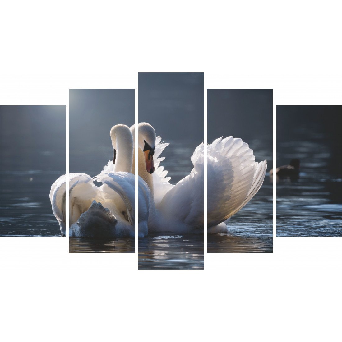 Tablou Forex 5 piese Swans in Love - clevny.ro