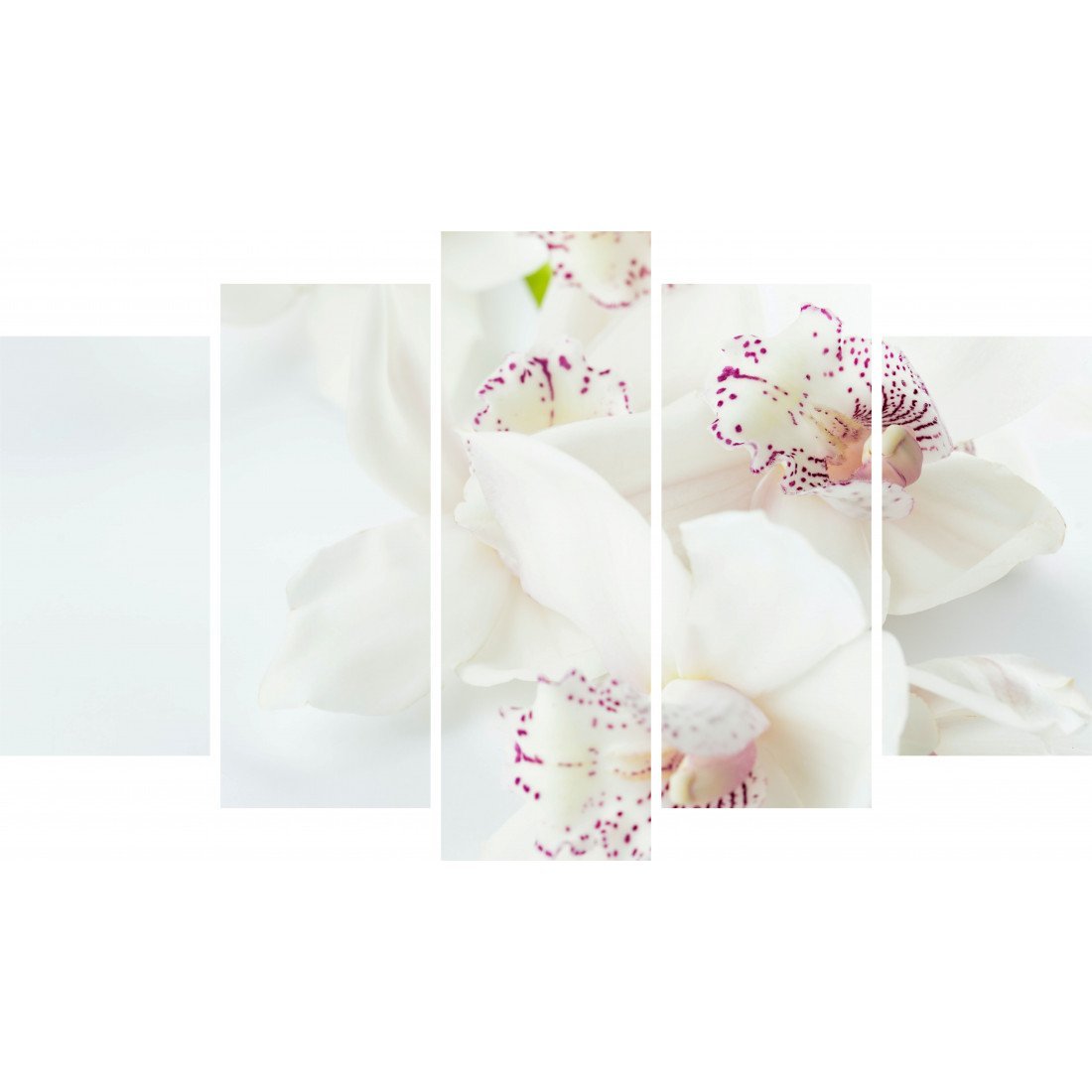 Tablou Forex 5 piese White Orchids With Purple - clevny.ro