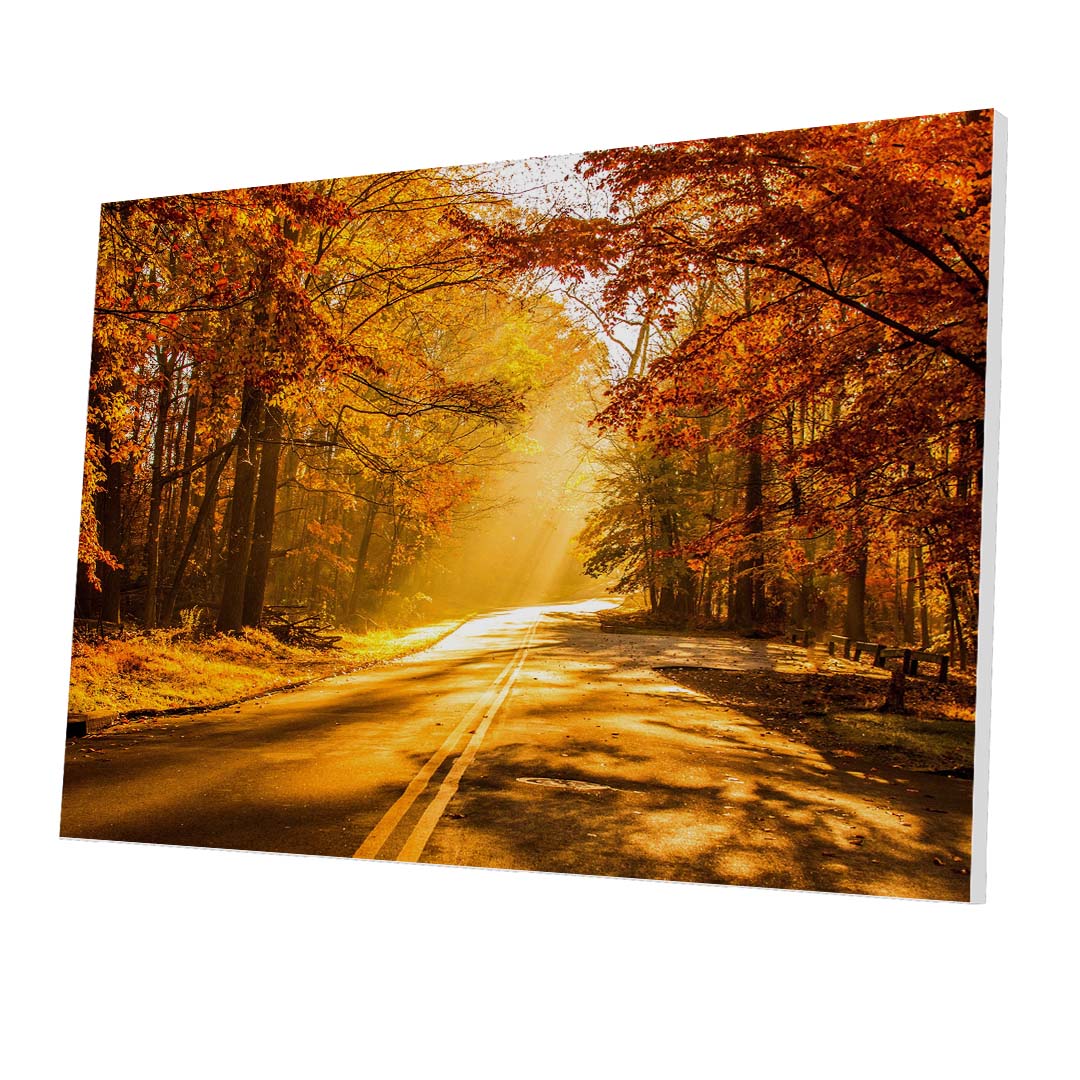 Tablou Forex Autumn Road to Forest - clevny.ro