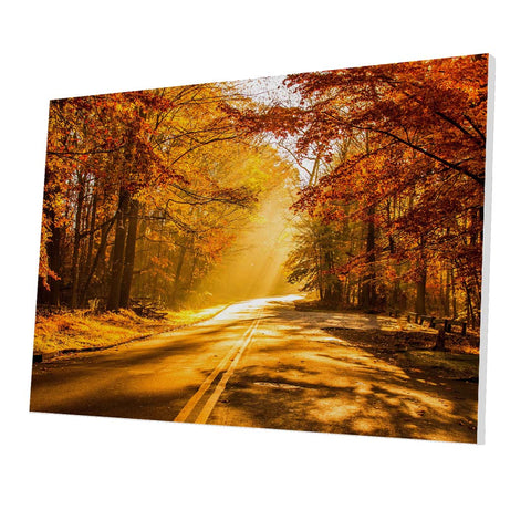 Tablou Forex Autumn Road to Forest - clevny.ro