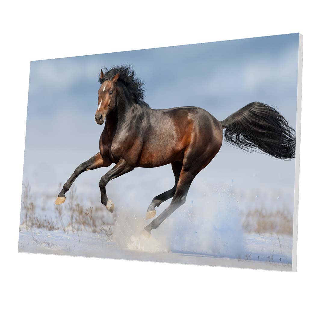 Tablou Forex Bay Horse in Snow - clevny.ro
