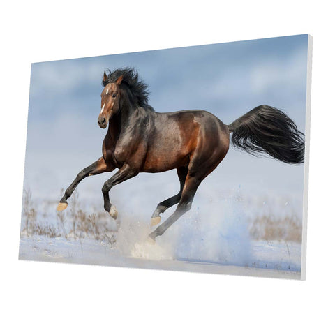 Tablou Forex Bay Horse in Snow - clevny.ro